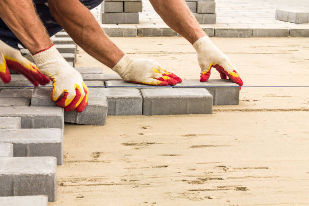 Best Driveway Pavers Near Me  in Pelican Rapids, MN