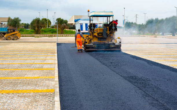 Best Driveway Pavers Near Me  in Pelican Rapids, MN