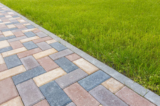 Best Best Driveway Pavers  in Pelican Rapids, MN